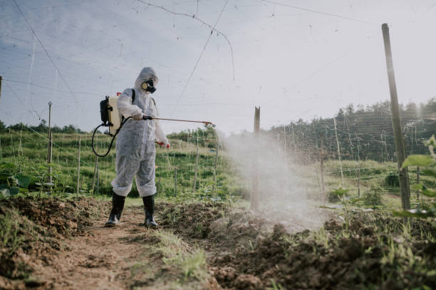 Best Local Pest Control Services  in Tuscumbia, AL