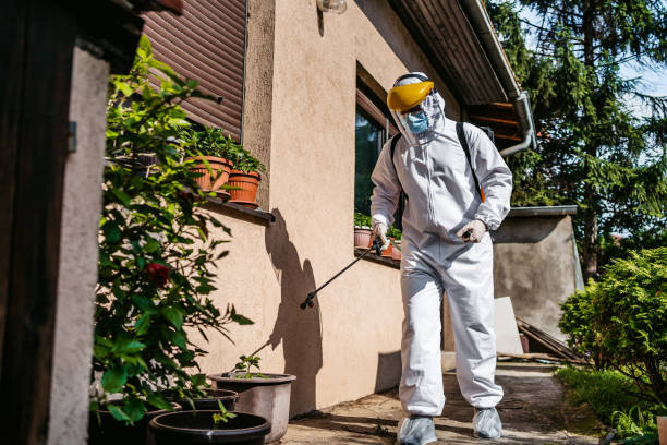 Best Emergency Pest Control  in Tuscumbia, AL