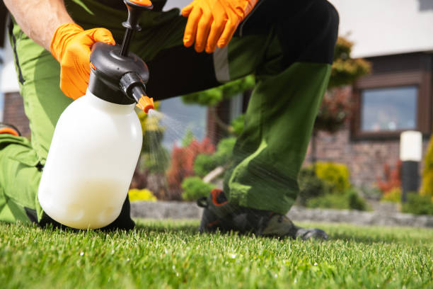 Best Insect Control  in Tuscumbia, AL