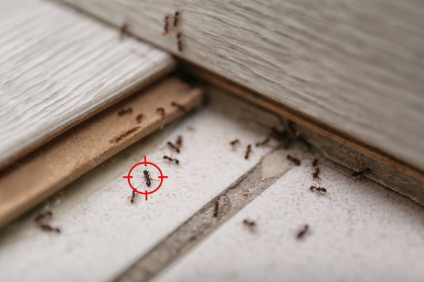 Best Wildlife Control Services  in Tuscumbia, AL