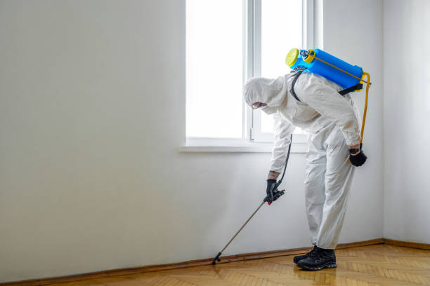 Best Pest Inspection Near Me  in Tuscumbia, AL