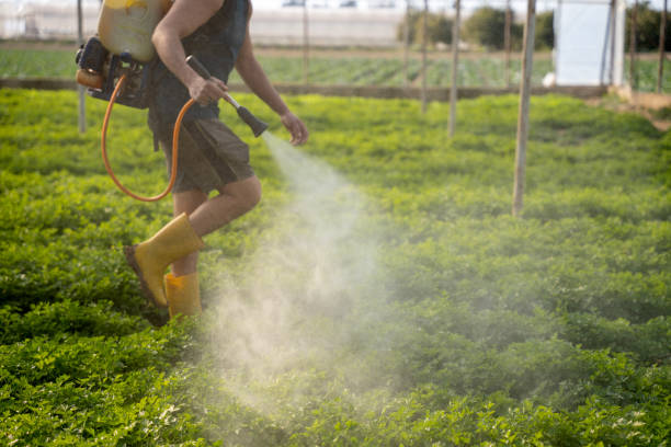 Best Best Pest Control Companies  in Tuscumbia, AL