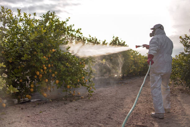 Best Ant Control Services  in Tuscumbia, AL