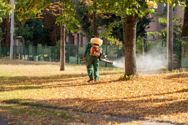 Best Flea Control Services  in Tuscumbia, AL