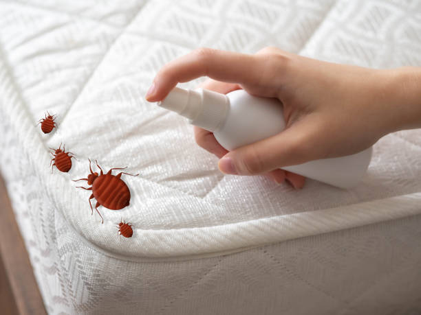 Best Affordable Pest Control Services  in Tuscumbia, AL