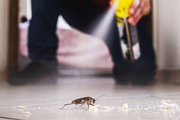 Best Residential Pest Control  in Tuscumbia, AL